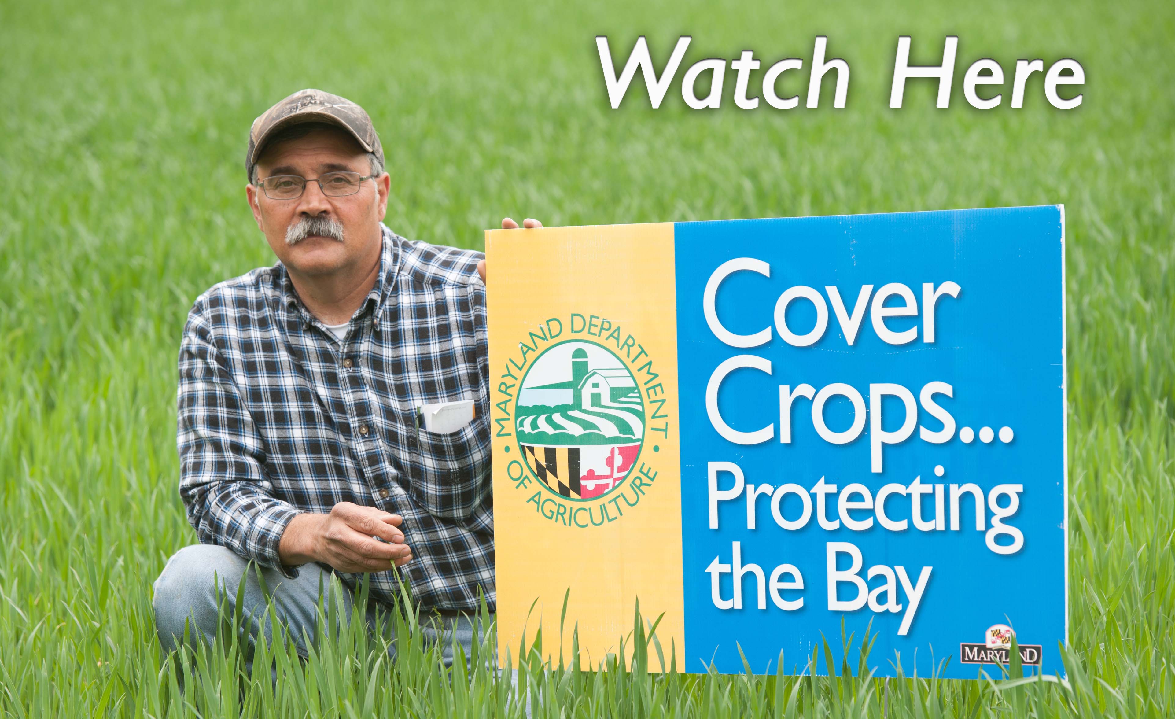 Cover Crop Program